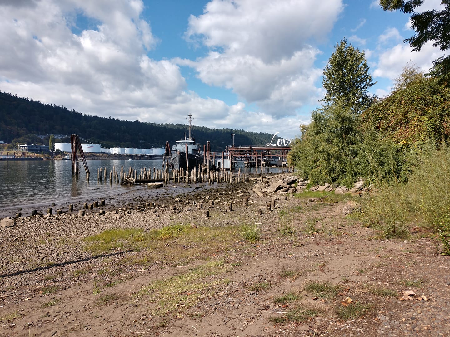 Willamette River Beach Cleanup - PDX Local